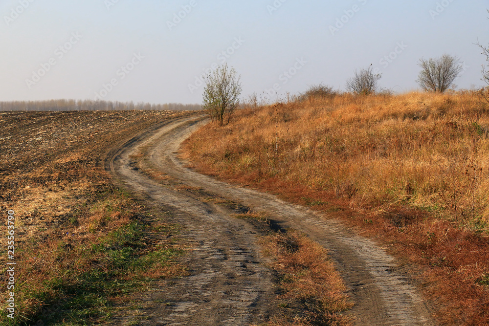 Beautiful Fall scene on curved unpaved road