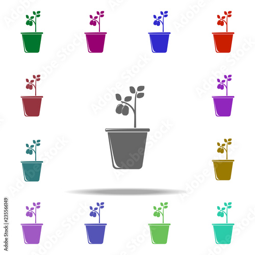 kiwi tree in pot illustration icon. Elements of Fruit in pot in multi color style icons. Simple icon for websites  web design  mobile app  info graphics