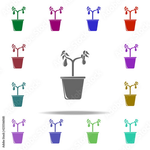 avocado tree in pot illustration icon. Elements of Fruit in pot in multi color style icons. Simple icon for websites, web design, mobile app, info graphics