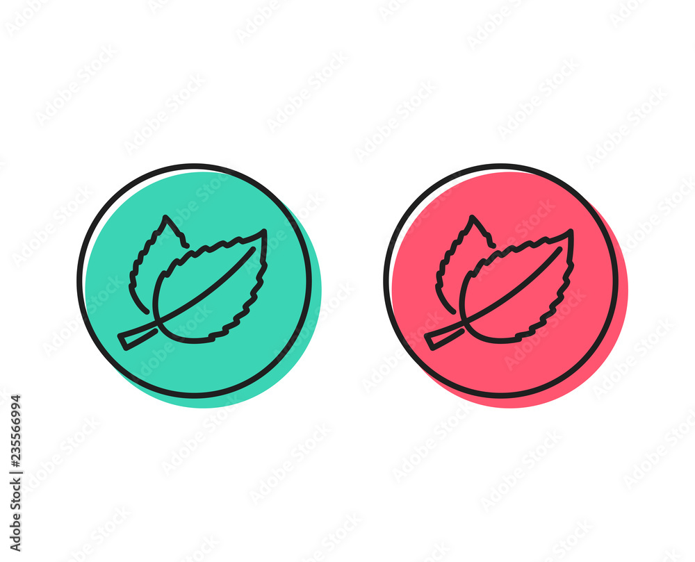 Mint leaves line icon. Herbal leaf sign. Tea with Mentha symbol. Positive and negative circle buttons concept. Good or bad symbols. Mint leaves Vector