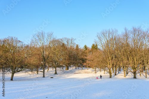 Outdoor winter scenery snowy landscape of Volkspark Rehberge, Goethe Park and Rathenaubrunnen in Wedding district, in Berlin, Germany. Parent drag kid who sit on ski skiing on snow in forest.