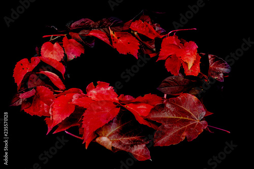 Composition of autumn leaves arranged in circle with a black background