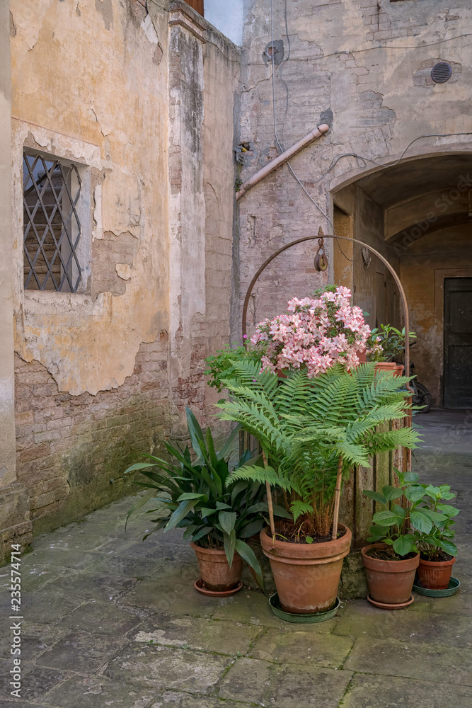 Potted Plants Surrounding a Well in the Medieval Town of Buonconvento, Italy