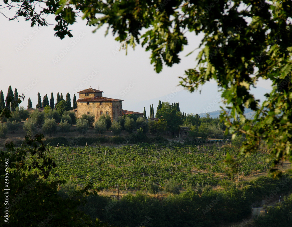 Tuscan homes and vineyards in Tuscany, Italy