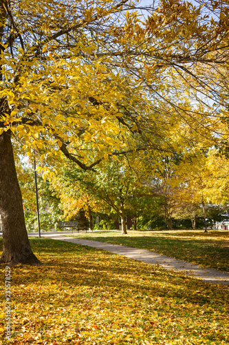 Autumn's Walk #3