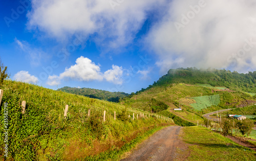 Wide mountain scenic sunny day green grass blue sky background, Phu Tub Berk Thailand