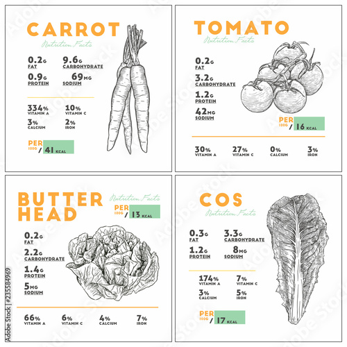 Nutrition facts of vegetable set. carrot, cos, tomato and butterhead. photo