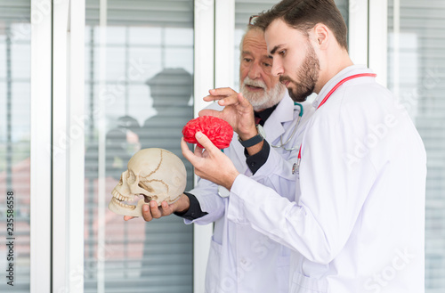 Doctor man working and using skull with plastic brain model together at hospital