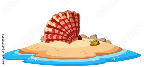 Isolated seashell on island