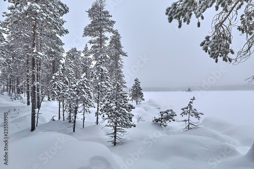 Winter Snowy Landscape photo