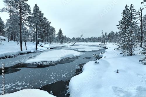 Winter Snowy Landscape photo