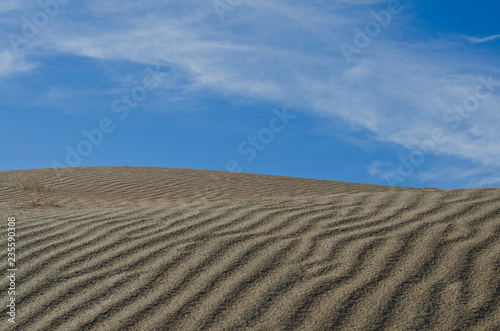 The wavy texture on the hills in the basin dunes in the summer sun.  © Bric