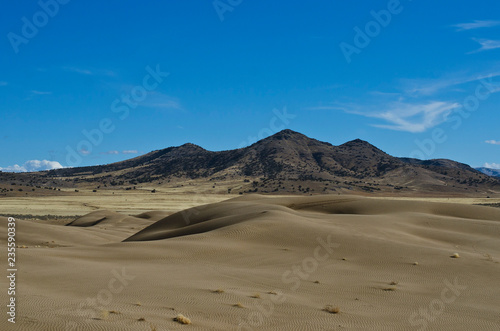 The great basin mountain peaks in the desert landscape. 