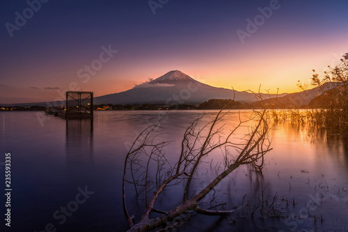 Mt. Fuji over Lake Kawaguchiko with dead tree at sunset in Fujikawaguchiko  Japan.