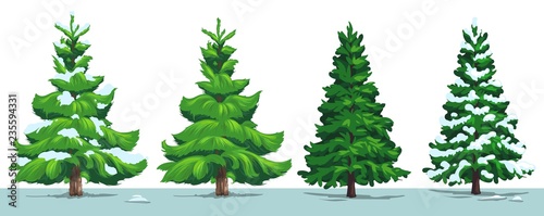 Christmas tree, green fir, pine, spruce with snow