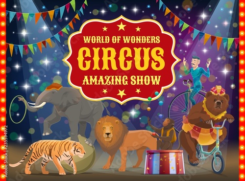 Trained animals and acrobat, circus show