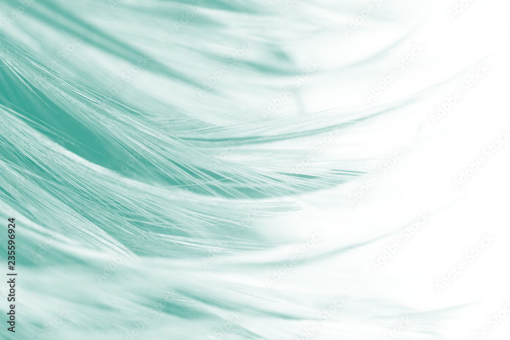 Fototapeta premium green vintage color trends feather texture background 