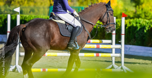 Beautiful girl on sorrel horse in jumping show, equestrian sports. Light-brown horse and girl in uniform going to jump. Hot, shiny day. Copy space for your text.