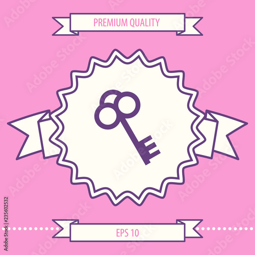 Key symbol icon. Graphic elements for your design