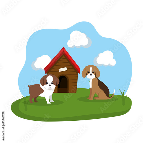 cute dogs with house wooden in the grass