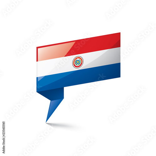 Paraguay flag, vector illustration on a white background