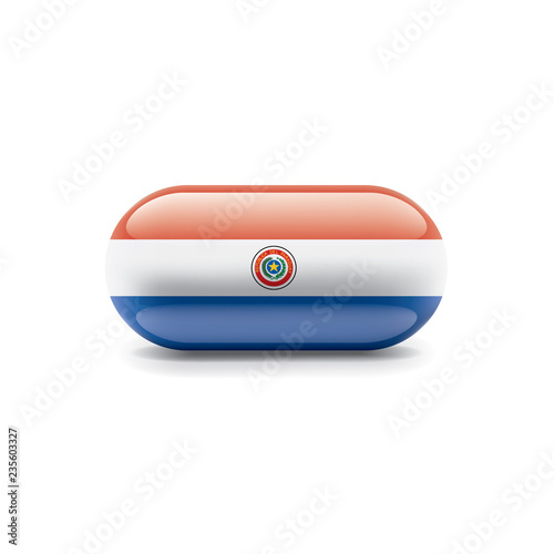 Paraguay flag, vector illustration on a white background