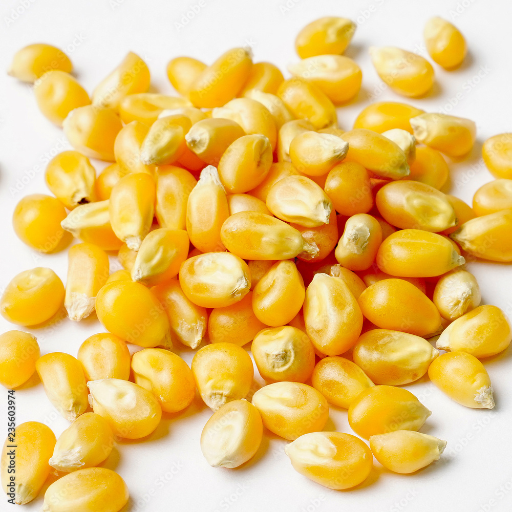 Close up of Dried Corn Kernels Isolated on White Background. Close up of Dried Corn Kernels Isolated on White Background.