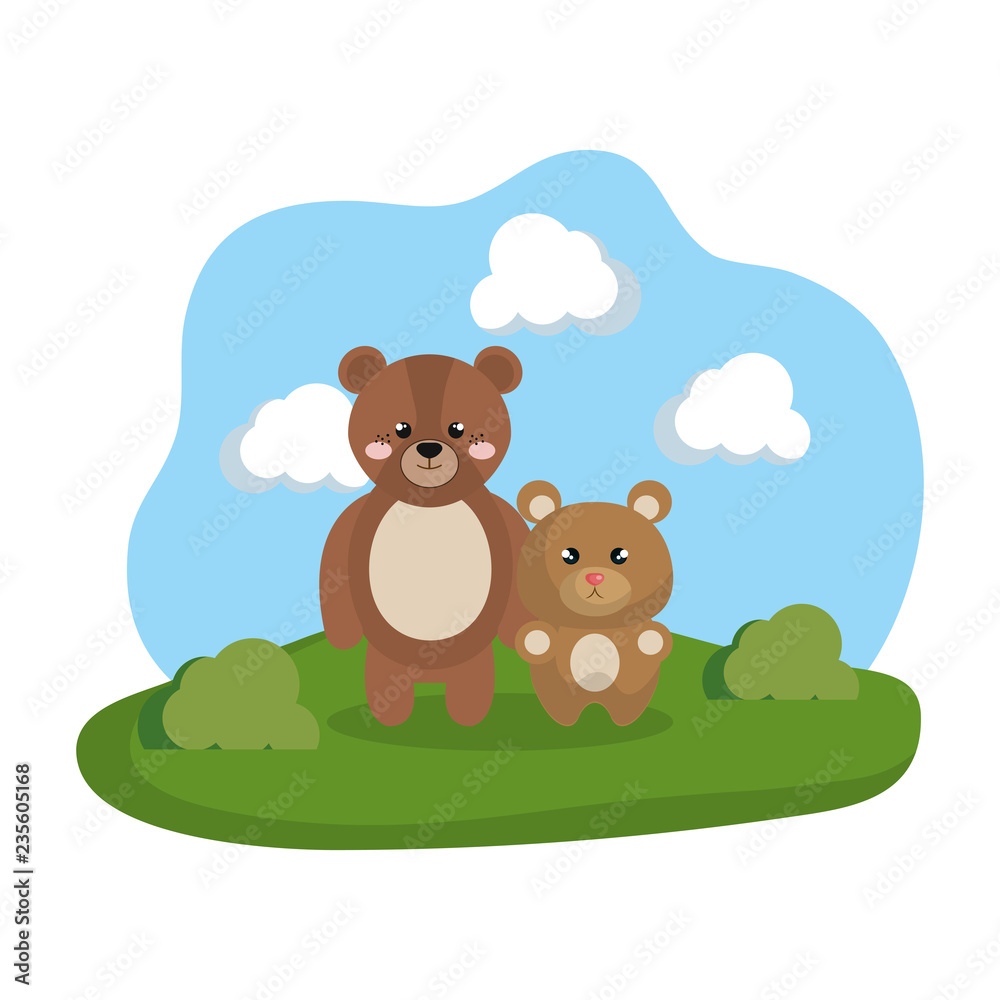 cute bears couple in the camp cute bears couple in the camp