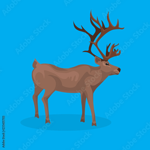 Fototapeta Naklejka Na Ścianę i Meble -  deer cartoon animal reindeer flat blue background christmas greeting card vector illustration