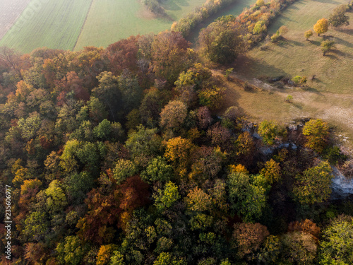 Herbstwald bei Sonnenaufgang - Luftaufnahme