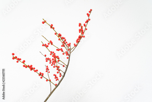Φωτογραφία red berry bush