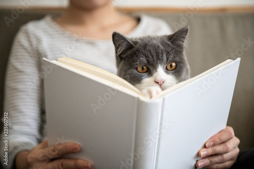 Canvas Print Reading with a kitten in his arms, filming indoors