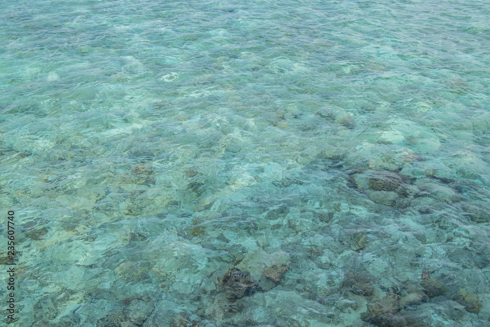 Turquoise water background. Maldives