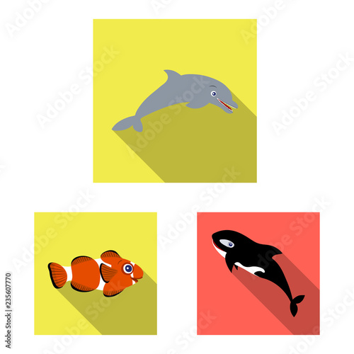 Isolated object of sea and animal sign. Collection of sea and marine vector icon for stock.