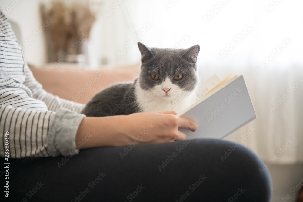 Reading with a kitten in his arms, filming indoors