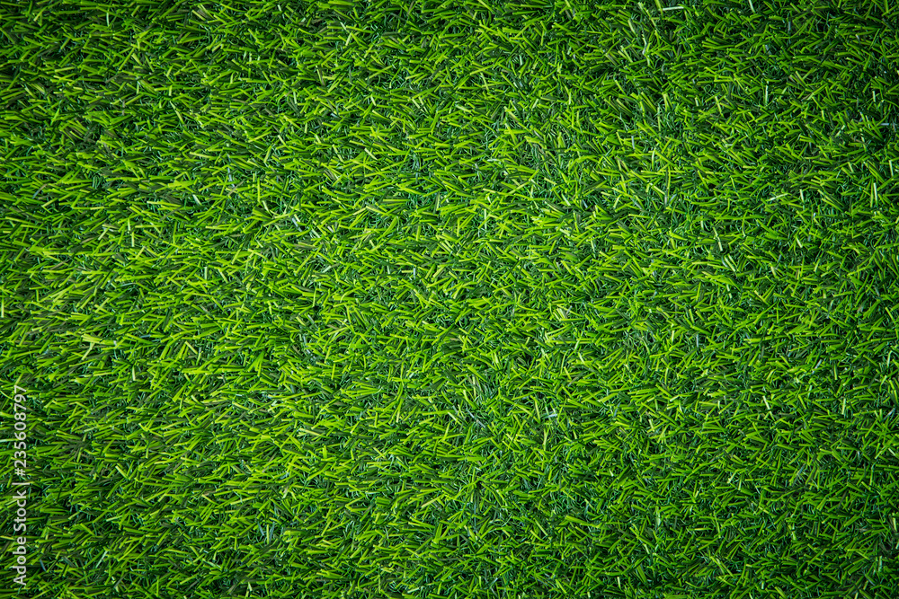 Fototapeta premium Green grass background