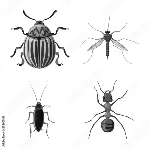 Isolated object of insect and fly icon. Collection of insect and element stock vector illustration.