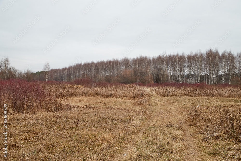 Yellow landscape in autumn cloudy day with field full of dry grass and road Yellow landscape in autumn cloudy day with field full of dry grass and road