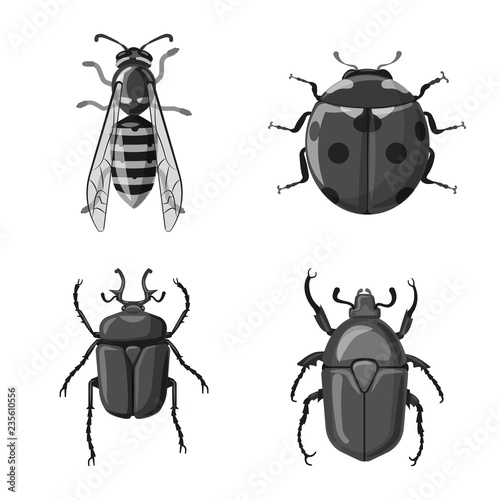 Isolated object of insect and fly symbol. Collection of insect and element stock vector illustration.