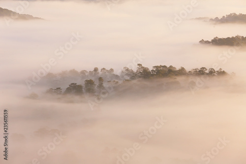 Amazing view of mountain, mist & cloud when dawn coming.