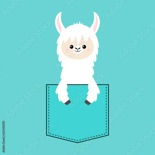 Alpaca llama face and hand in the pocket. T-shirt design. Cute cartoon funny character. Kawaii animal. Love Greeting card. Flat design style. Blue background. Isolated.