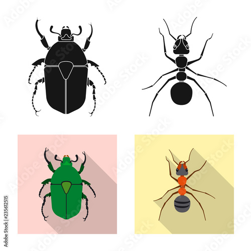 Vector design of insect and fly logo. Set of insect and element stock symbol for web. © Svitlana