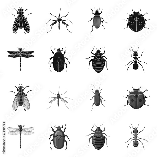 Isolated object of insect and fly symbol. Collection of insect and element stock symbol for web.