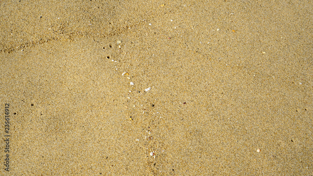 바다 해변가 모래 바닥 빈공간 활용 배경이미지