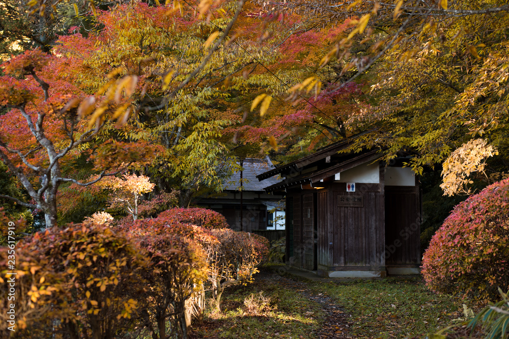 journey at japan autumn season, takayama