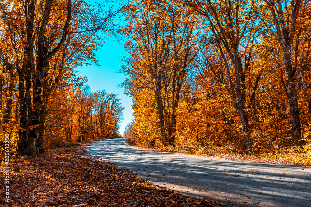 Highway in the autumn mountain forest Highway in the autumn mountain forest