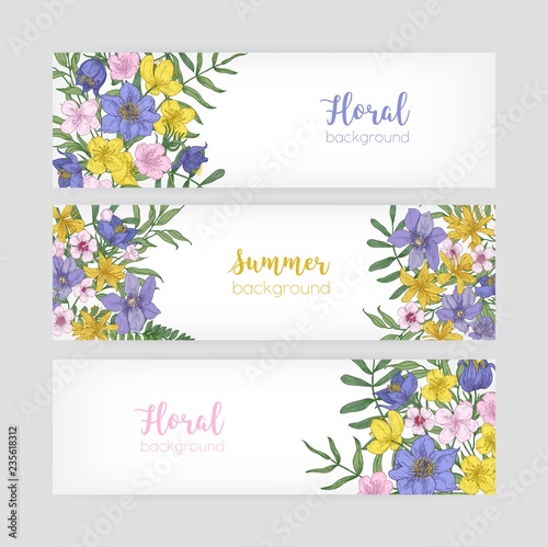 Set of floral banner templates with elegant blooming wild summer flowers and place for text on white background. Collection of natural backdrops with wildflowers. Realistic vector illustration.