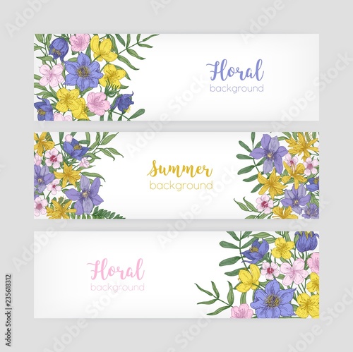 Set of floral banner templates with elegant blooming wild summer flowers and ...