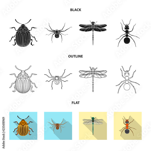 Vector design of insect and fly sign. Collection of insect and element vector icon for stock.