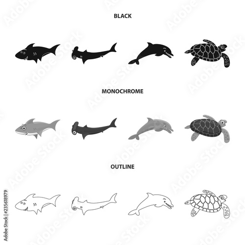 Vector illustration of sea and animal icon. Set of sea and marine vector icon for stock.